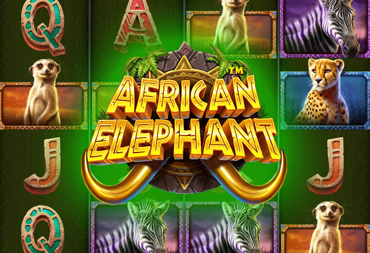 African Elephant - Pragmatic Play