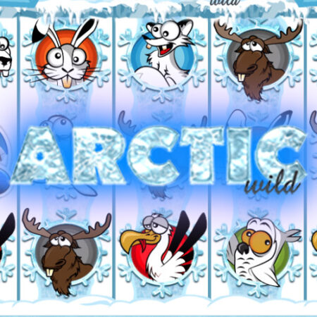 Arctic Wild от Tuko Productions: игровой автомат о животных