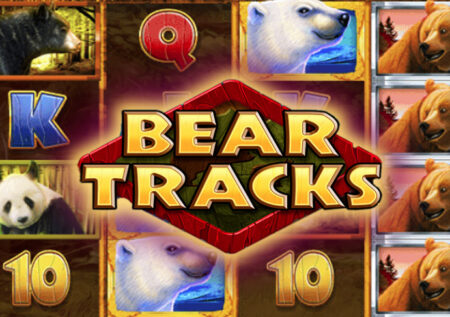 Игровой автомат Bear Tracks от DWG: обзор и особенности