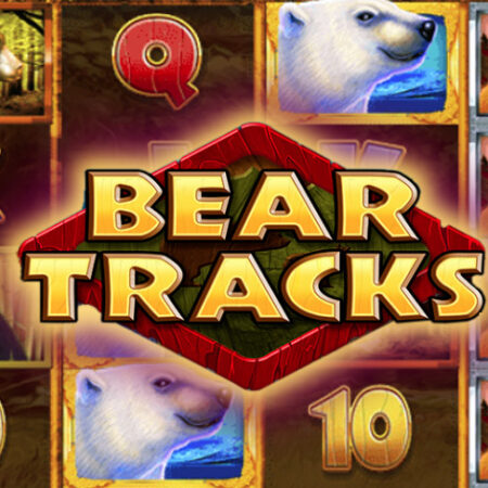 Игровой автомат Bear Tracks от DWG: обзор и особенности