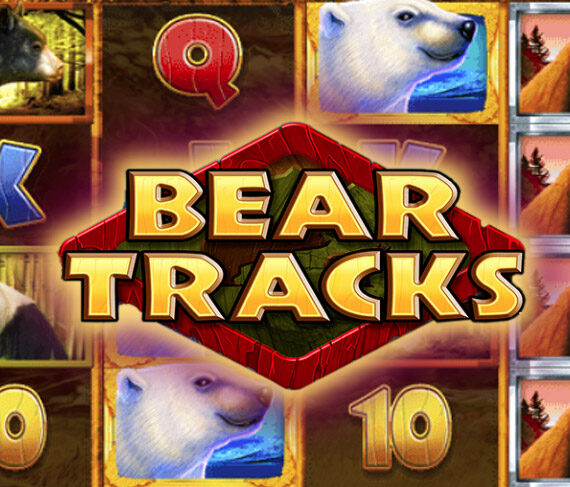 Игровой автомат Bear Tracks от DWG: обзор и особенности
