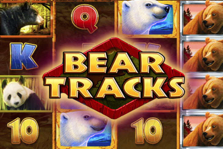 Bear Tracks - DWG