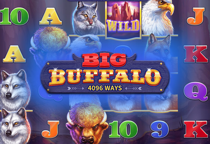 Big Buffalo - Skywind Group