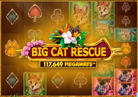 Big Cat Rescue MegaWays от Red Tiger Gaming обзор игры