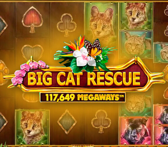 Big Cat Rescue MegaWays от Red Tiger Gaming обзор игры