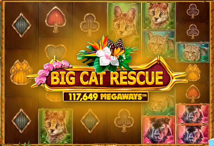 Big Cat Rescue MegaWays - Red Tiger Gaming
