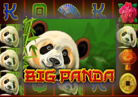 Игровой автомат Big Panda от Amatic: азиатская тематика животных