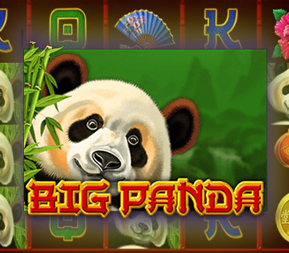 Игровой автомат Big Panda от Amatic: азиатская тематика животных