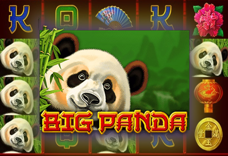Big Panda - Amatic