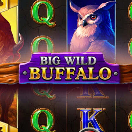 Big Wild Buffalo от Belatra: Игровой автомат о животных
