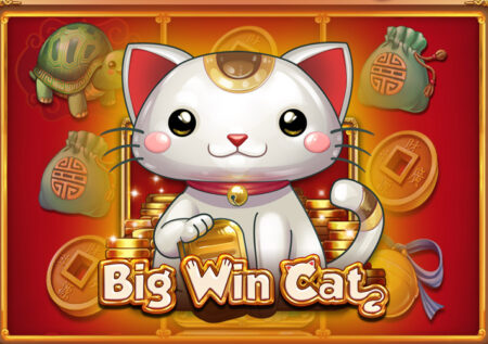 Big Win Cat от Play’n GO: игровой автомат Азии с животными