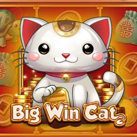 Big Win Cat от Play’n GO: игровой автомат Азии с животными