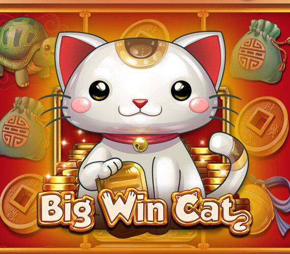 Big Win Cat от Play’n GO: игровой автомат Азии с животными