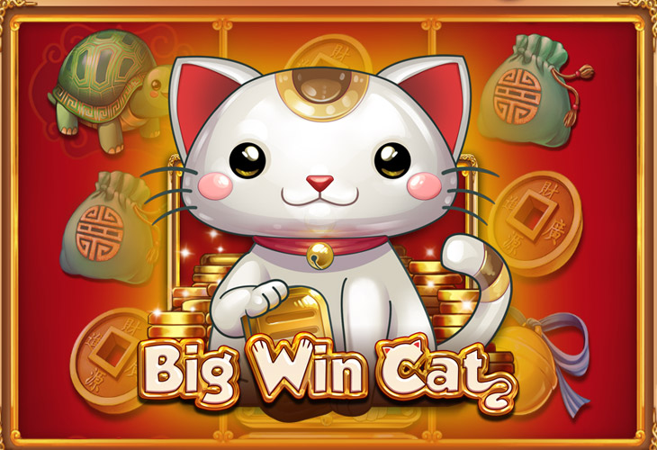 Big Win Cat - Play'n GO