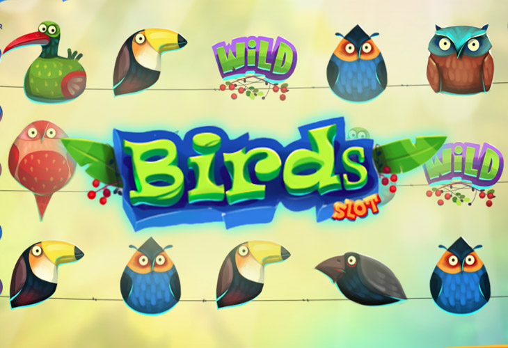 Bird Slot - SmartSoft
