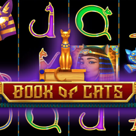 Book Of Cats от BGaming