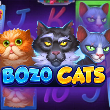 Игровой автомат Bozo Cats от провайдера Playson