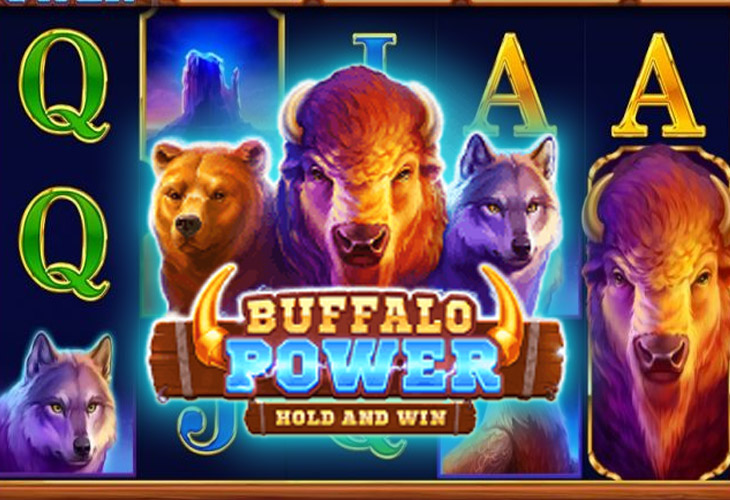 Buffalo Power: Hold and Win - Playson