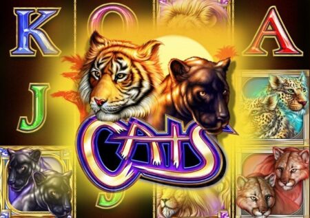 Игровой автомат Cats от IGT: Обзор и особенности