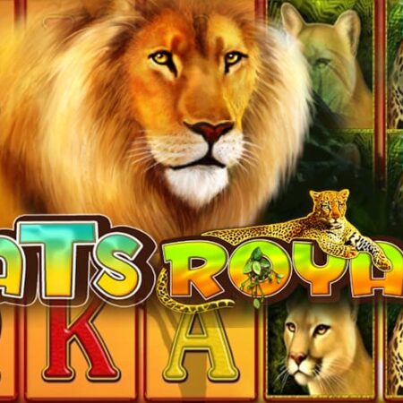 Cats Royal от Amusnet: игровой автомат о животных
