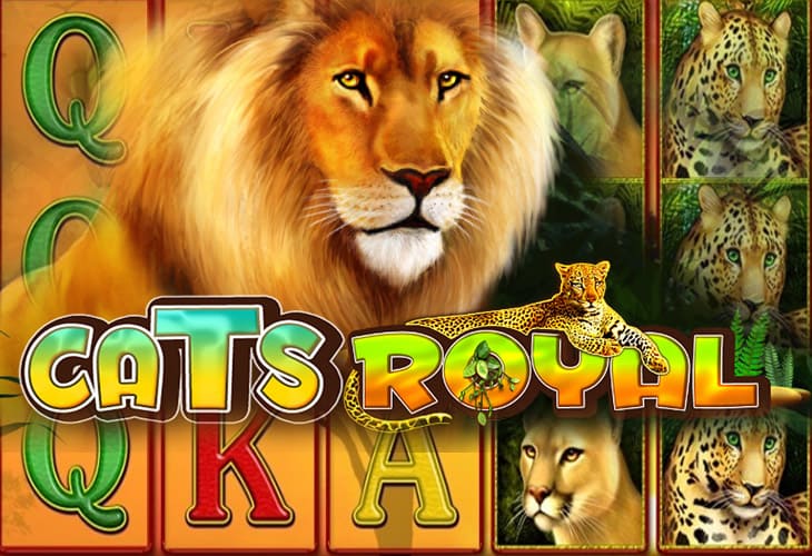 Cats Royal - Amusnet