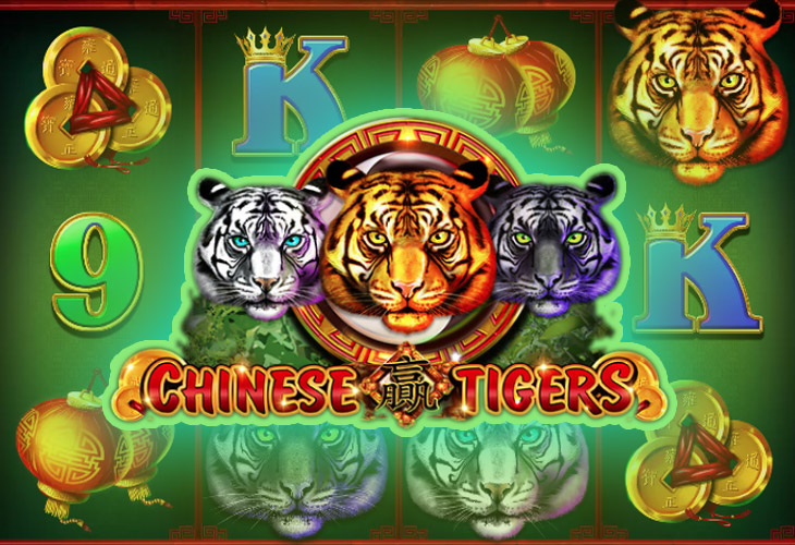 Chinese Tigers - Platipus