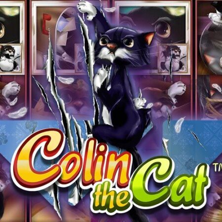 Colin the Cat от Wazdan: Игровой автомат о животных