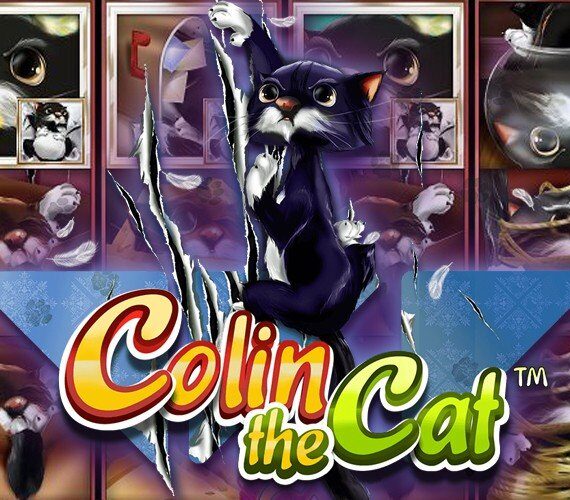 Colin the Cat от Wazdan: Игровой автомат о животных