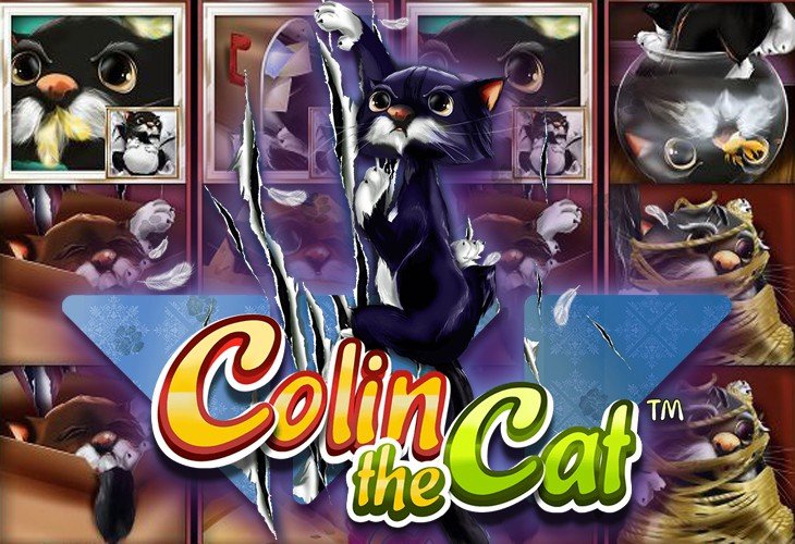 Colin the Cat - Wazdan