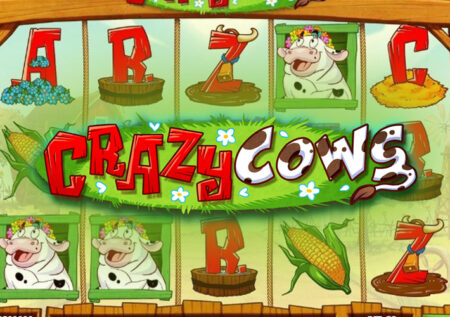 Crazy Cows