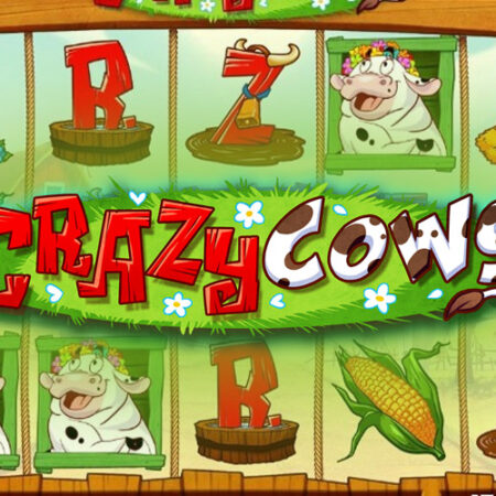 Crazy Cows