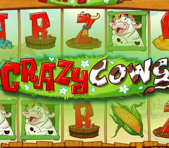 Crazy Cows