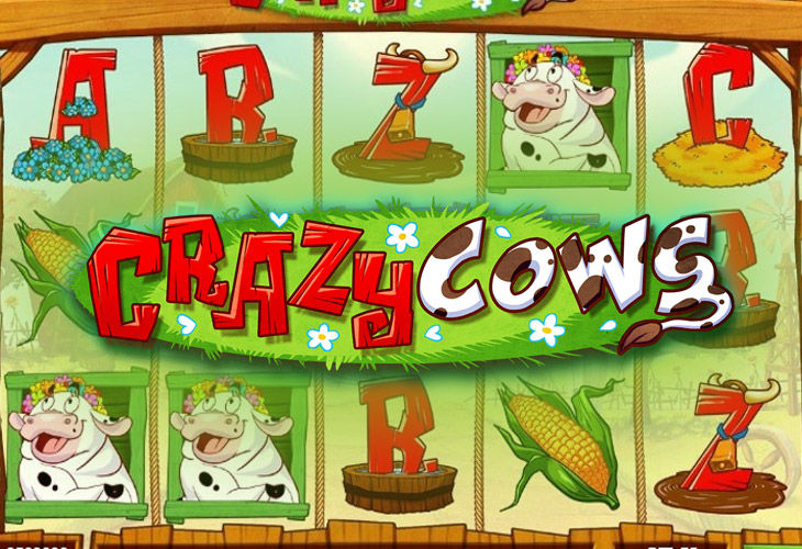 Crazy Cows - Play'n GO
