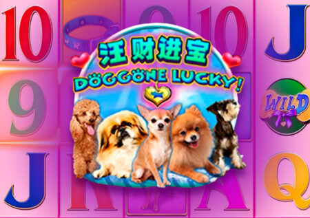 Doggone Lucky! от Aspect Gaming: игровой автомат о животных