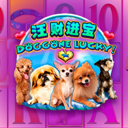 Doggone Lucky! от Aspect Gaming: игровой автомат о животных