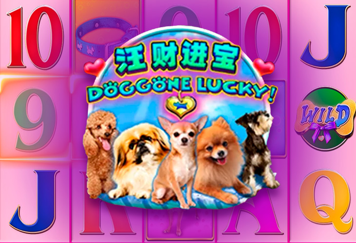 Doggone Lucky! - Aspect Gaming