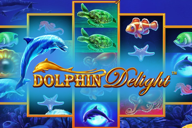 Dolphin Delight - Skywind Group