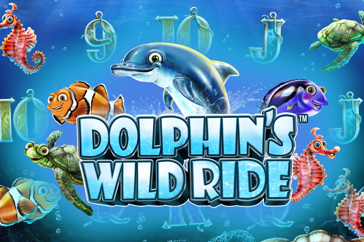 Dolphin’s Wild Ride - Synot Games