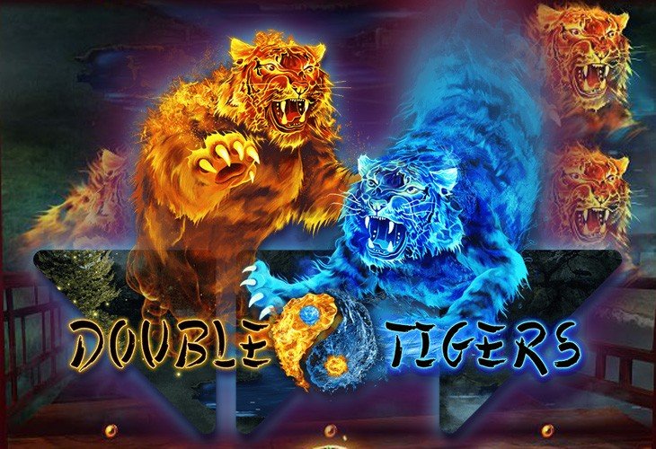 Double Tigers - Wazdan
