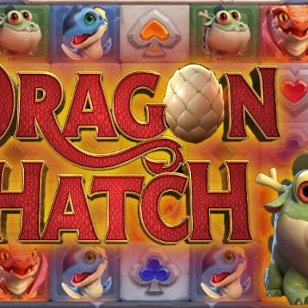 Dragon Hatch от Pg Soft: Обзор игрового автомата