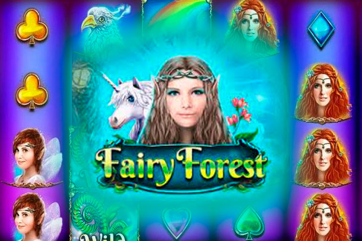 Fairy Forest - Platipus