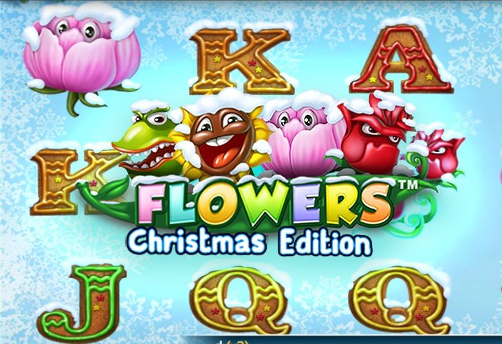 Flowers Christmas Edition - NetEnt