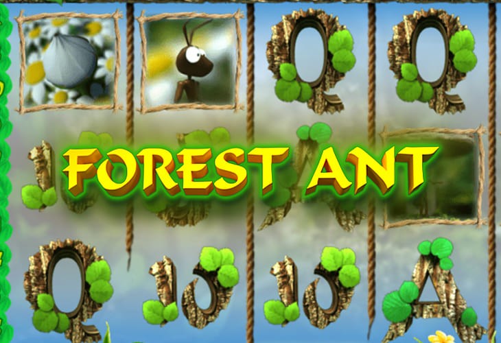 Forest Ant - Fugaso