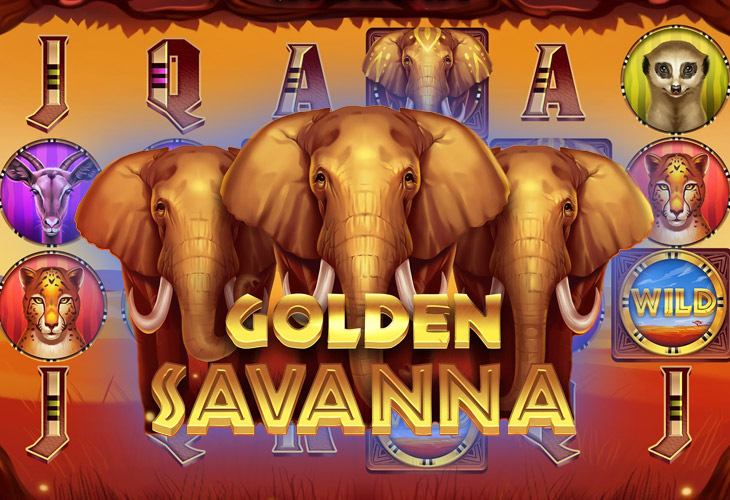 Golden Savanna - Woohoo