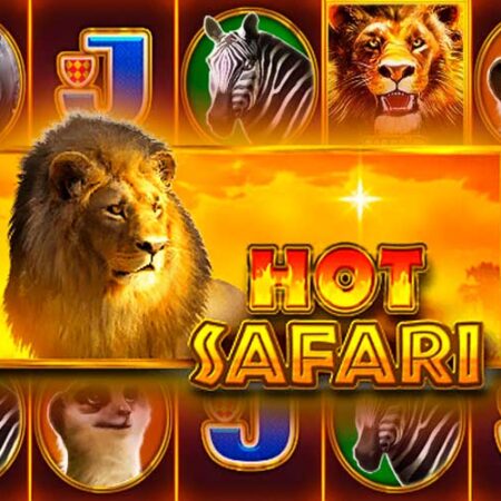 Игровой автомат Hot Safari от Pragmatic Play о животных