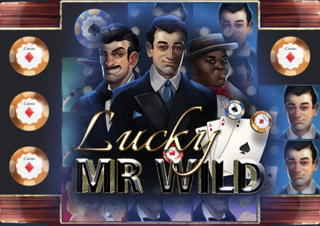 Lucky Mr. Wild от Lady Luck Games – Обзор игрового автомата
