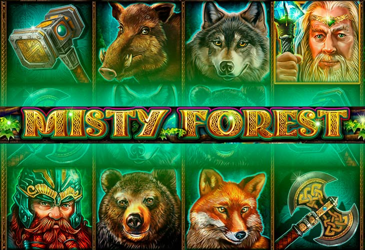 Misty Forest - CT Interactive