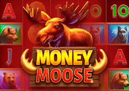 Money Moose от Booming Games: обзор игрового автомата