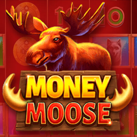 Money Moose от Booming Games: обзор игрового автомата