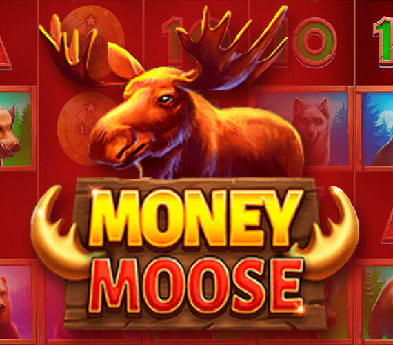 Money Moose от Booming Games: обзор игрового автомата